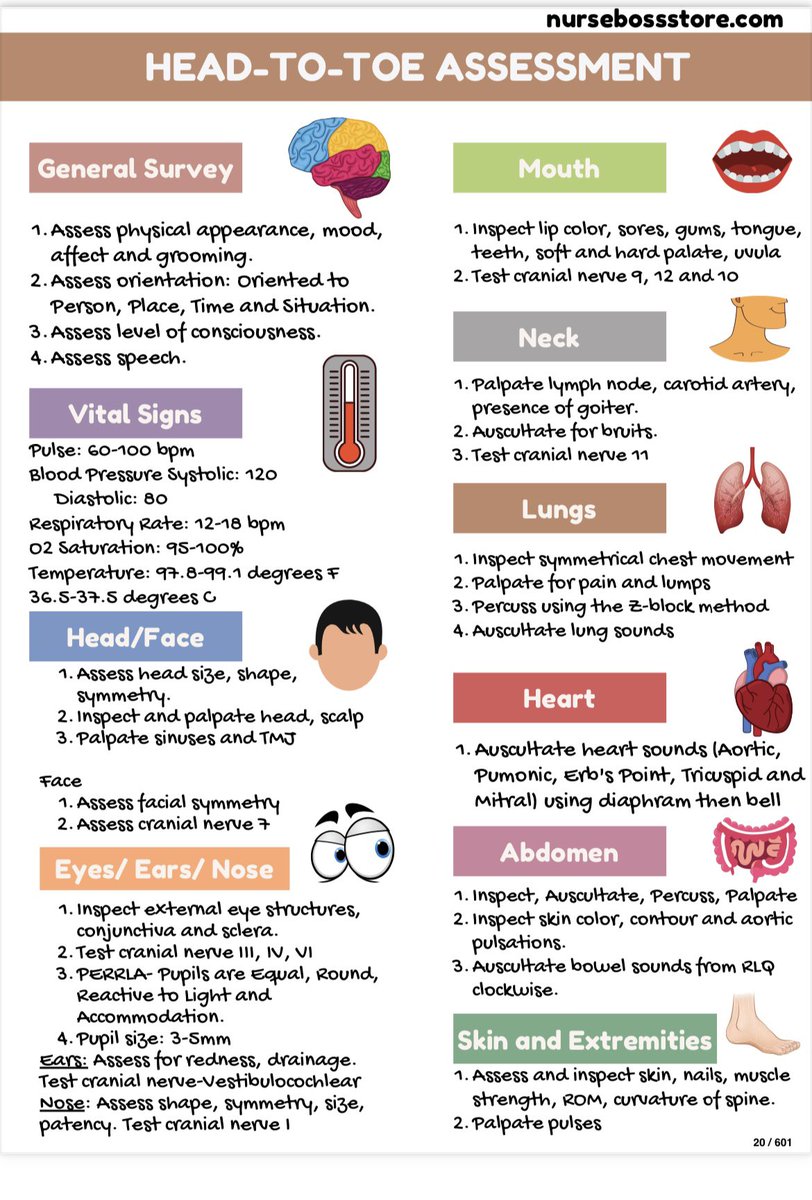 Nursing_888's tweet photo. HEAD TO TOE ASSESSMENT 💉🩻🩺 https://t.co/QrY6UnIlrO