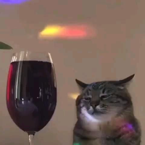 to velho mesmo, vsfd que dor nas costas 👎🏽