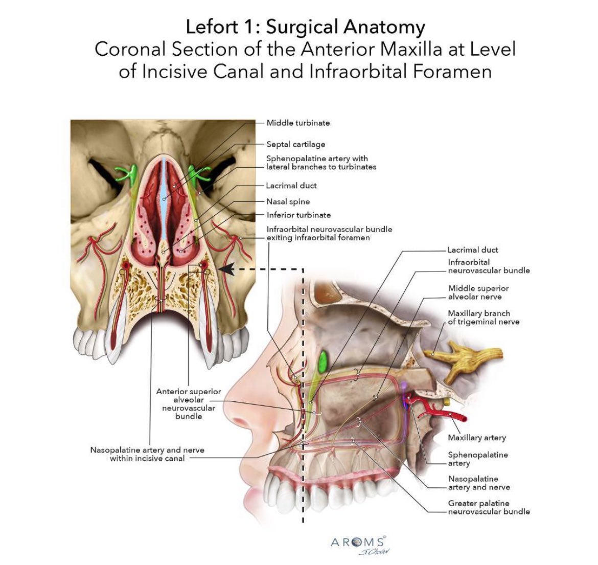 Ahmed Muharraq (@ahmadalmoharrg) on Twitter photo 