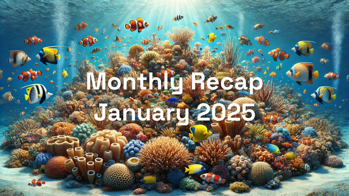 The Reef January 2025 Recap is here!

January was a busy month with many major milestones, CEX integrations, NFT success, and continued development.

Here's what went down! 👇