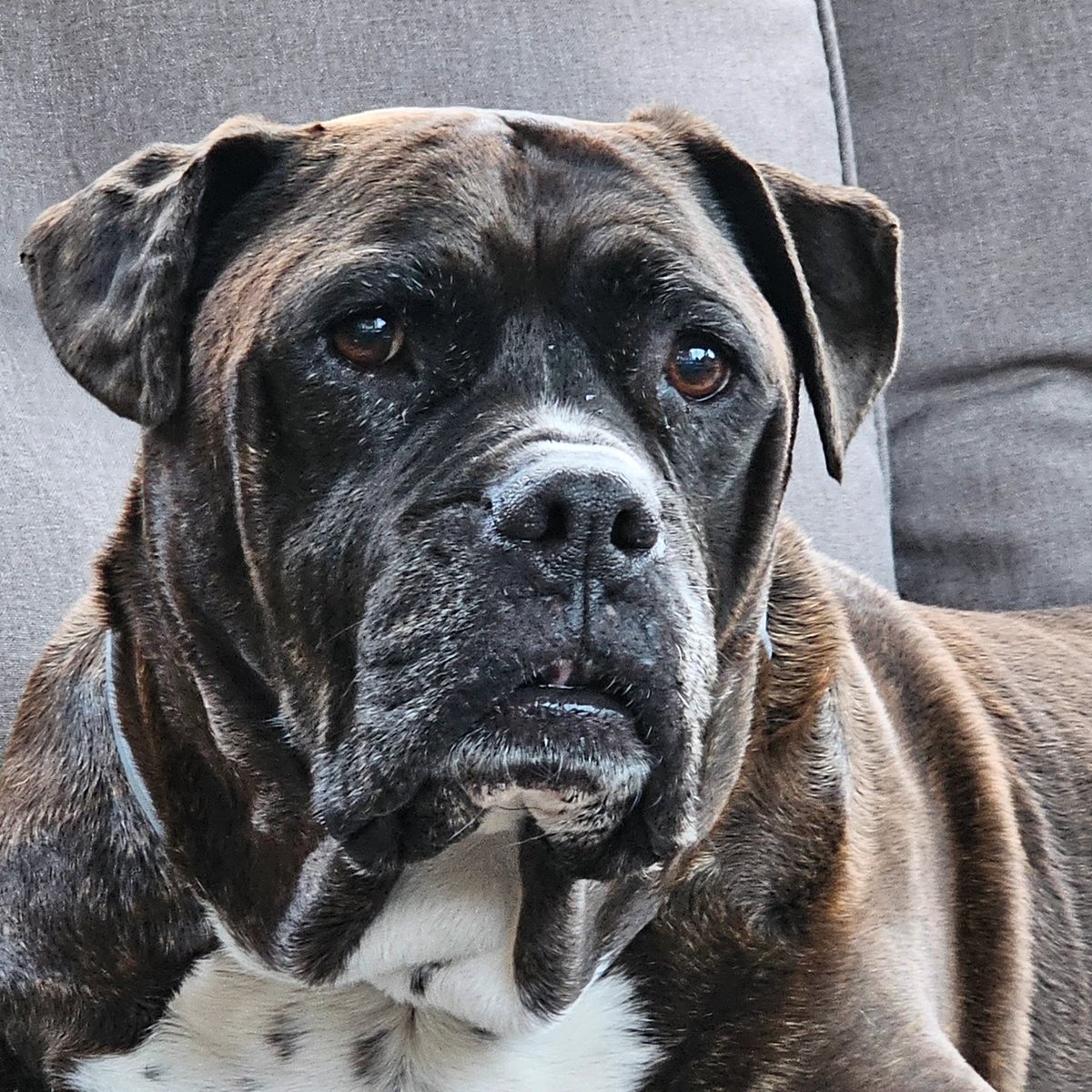 Gene Walker tweet media