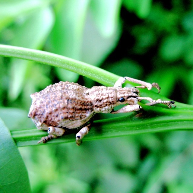 SecureLawn's tweet photo. The Importance of Pest Protection Services for Your Lawn https://t.co/snqP2ZZ4MV https://t.co/P9tynN9l2i