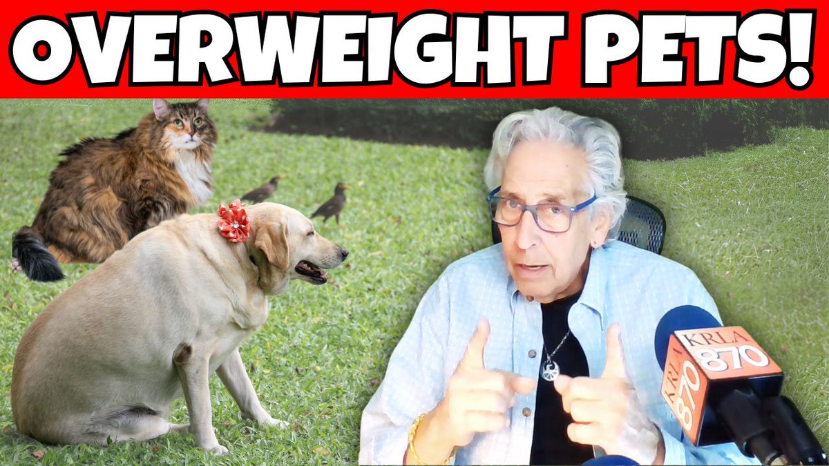 warreneckstein's tweet image. 🐾 Pets = The Best Life Coaches! 🐶🐱 Join Warren Eckstein this Saturday on The Pet Show for expert pet advice, behavior tips &amp;amp; fun Q&amp;amp;A! 🎙️ Who do you greet first—your pet or your partner? Watch at youtu.be/QUq9jD5ZZzg
#petshow #petQandA #petquestions #warreneckstein #pettalk