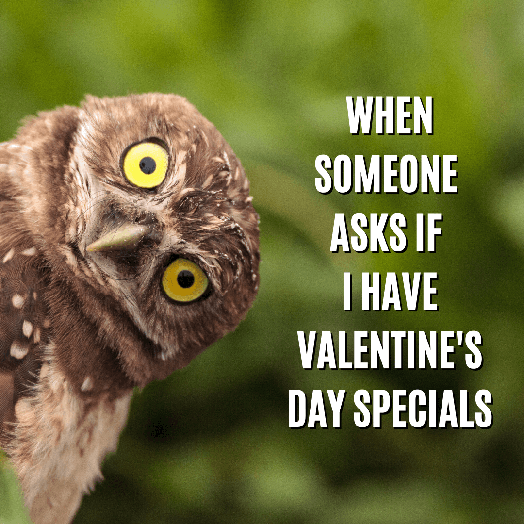 What is everyone doing for Valentines day?