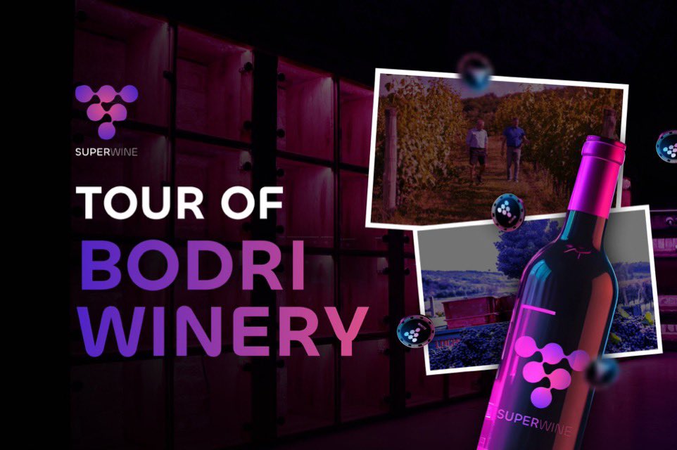 Discover Bodri Winery 🍷

Nestled in southern Hungary, the historic Bodri Winery is the heart of SuperWine. Take a quick tour with us!

▪️ A family-owned business for 5+ generations
▪️ Over 750,000 bottles sold each year
▪️ More than 40 varieties of wine
▪️ International awards