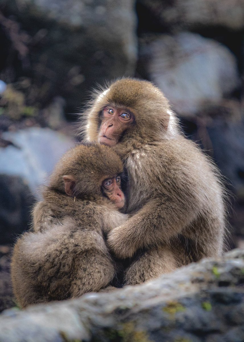 Happy valentine’s day 🫶🏽