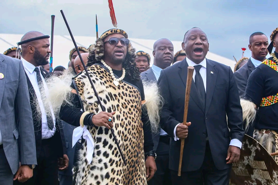 dailysunsa's tweet photo. 👑King Misuzulu fears for his life!👮🏾
#KingMisuzulu #PresidentRamaphosa #ZuluMonarch #SecurityReduction
https://t.co/u1x9XAFlfB