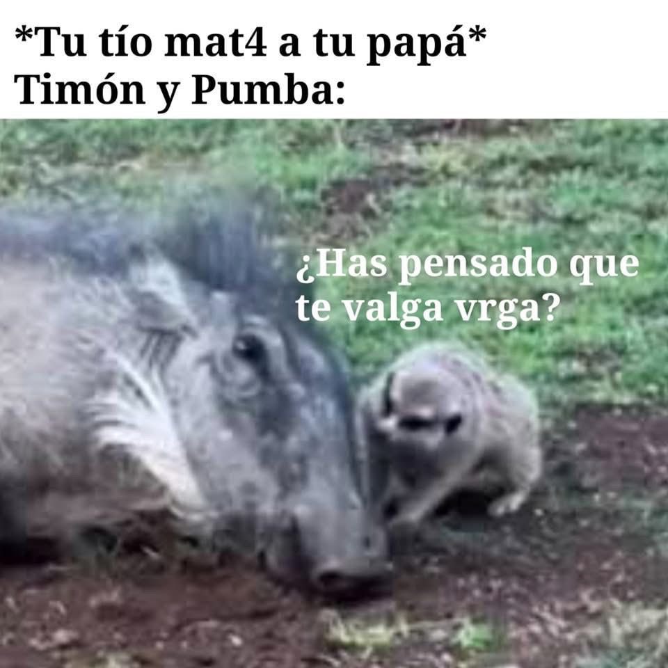 Museo Mexicano de Internet (@museomexicano) on Twitter photo 