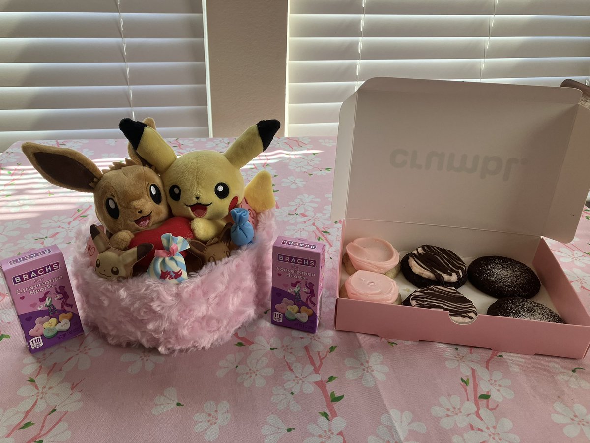 Happy Valentine’s Day! I surprised my husband with this cute Eevee and Pikachu plush and heart candies! Then he surprised me with a box of some of the most delicious cookies I’ve ever had?? 💕