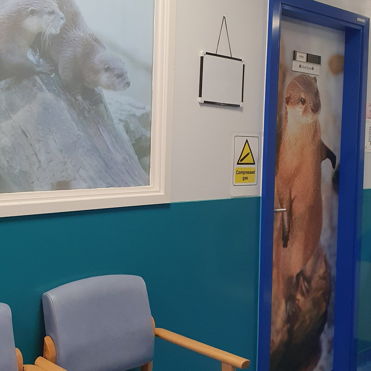 Project: Otter Room 

Excited to show you part of the Children's Outpatient clinic renovation-the #Otter Room 

I worked with #photographer Amber Homersham
Plus, there are 5 facts about otters!

Support our creative arts
lnkd.in/e7teX5Nm
#fhftarts