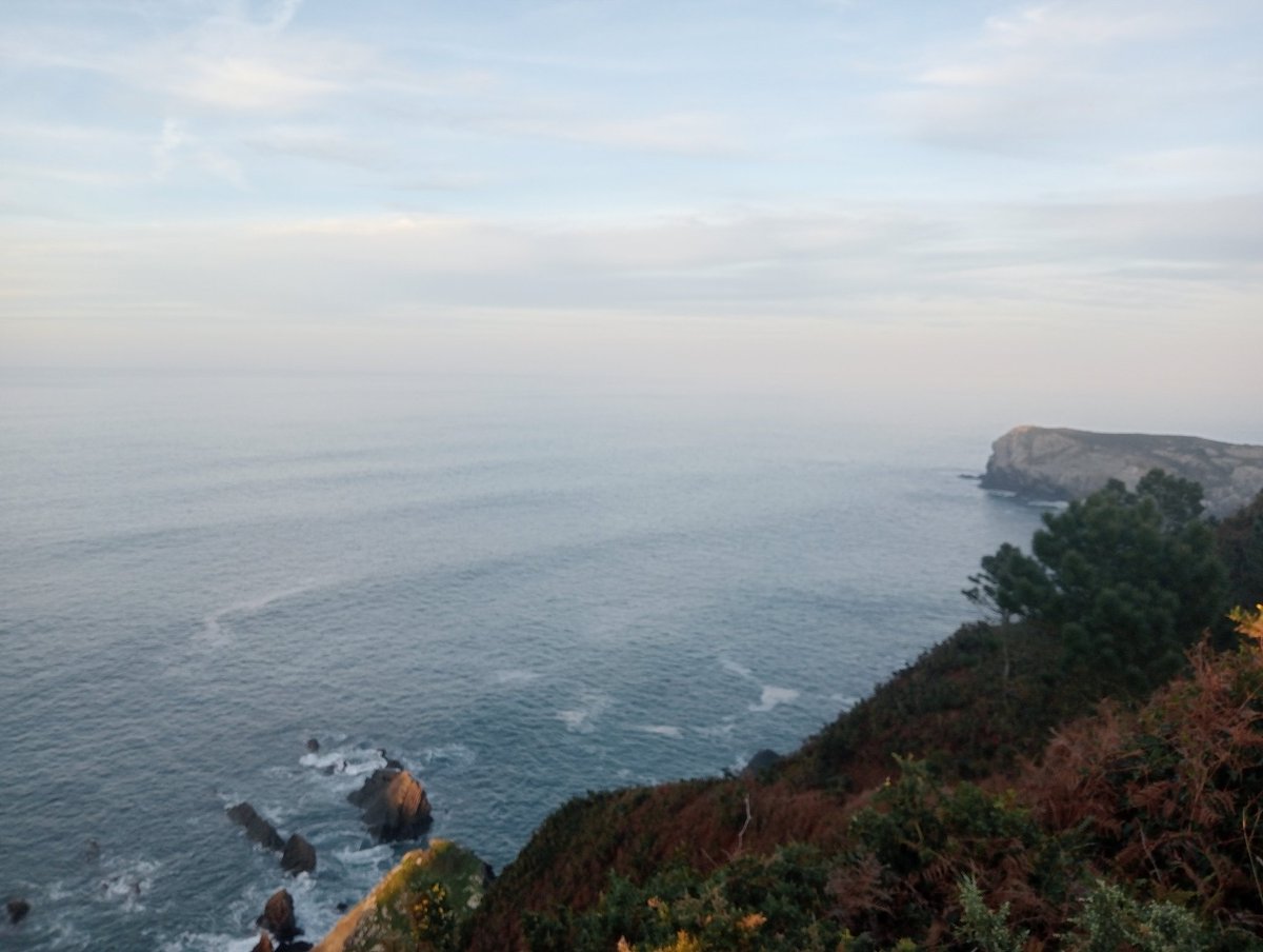 Airam Cabrera Rguez (@airam_cab) on Twitter photo 