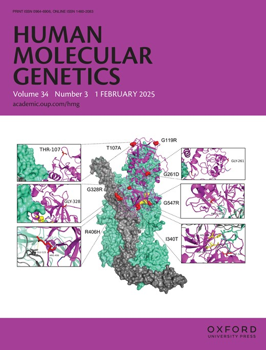 1 February 2025 Issue
academic.oup.com/hmg/issue/34/3

Cover Study: The role of complement factor I rare genetic variants in age related macular degeneration in Finland
doi.org/10.1093/hmg/dd…