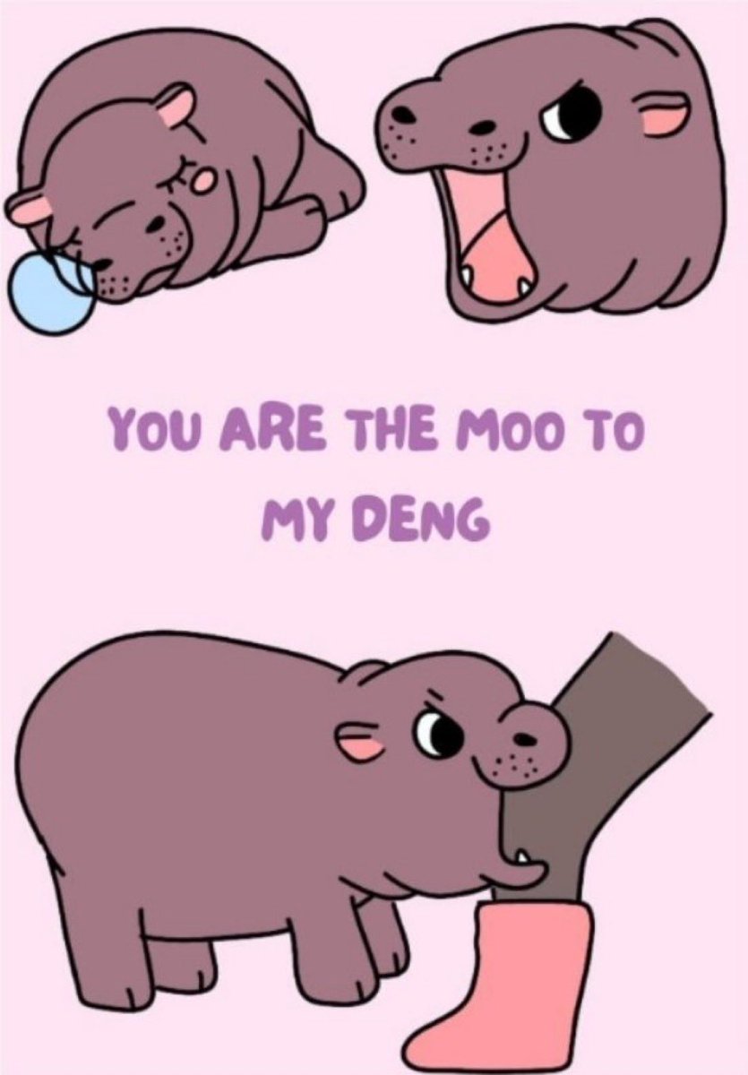 mevdot's tweet photo. Happy Valentines Day!

#moodeng https://t.co/S5JUn8JLfD