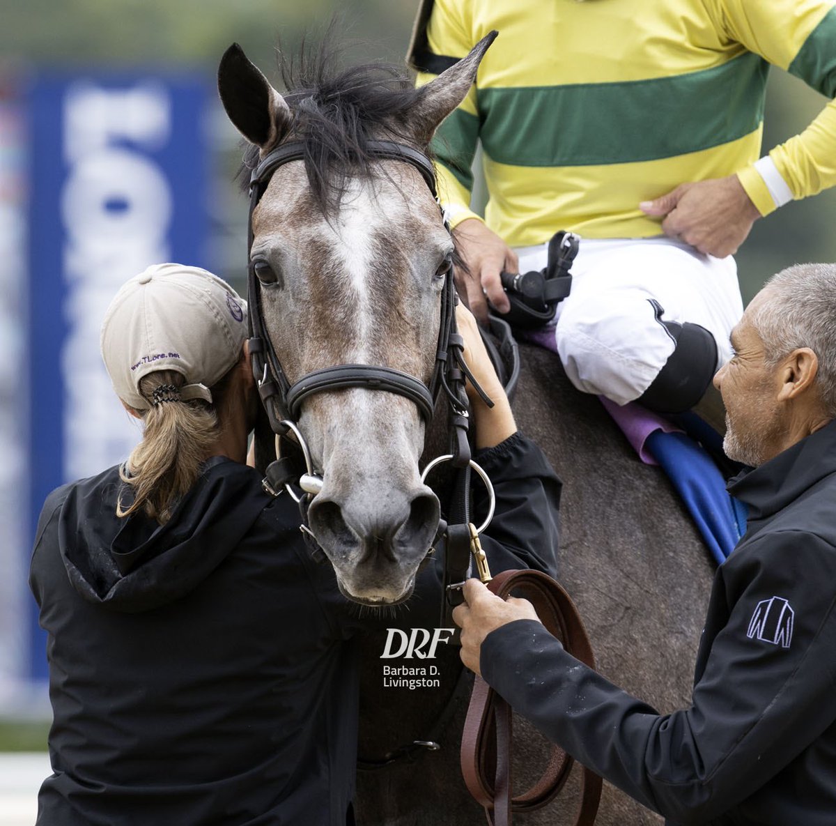 MG Racing tweet media