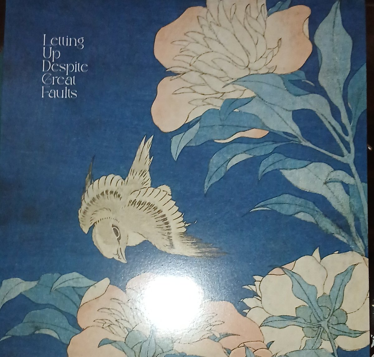 For those who like their indie music C86/Jangle Pop style, now my new turntable is up and running a couple of albums from late last year, worth looking out for.

Every Heaven by Humdrum
Reveries by Letting Up Despite Great Faults