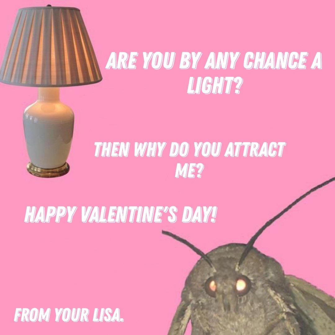 🇷🇺Твоя душа и почки здесь. tweet media