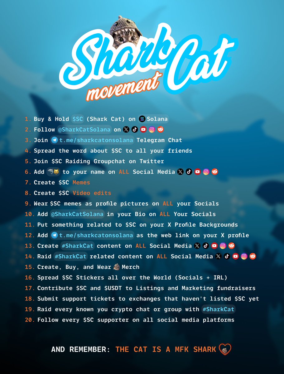 Shark Cat 🦈🐱 tweet media