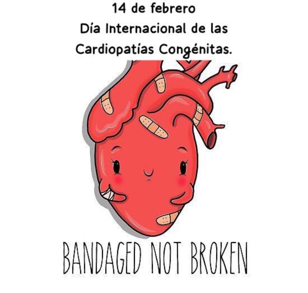 danielroseter's tweet photo. 1 de cada 100 recién nacidos, nace con algún defecto cardiaco congénito. La detección oportuna hace le diferencia en el pronóstico. https://t.co/5cfYVt61Sn