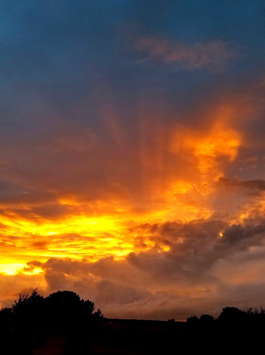 USGSAZ's tweet photo. πβ€οΈ Happy Birthday, Arizona! 113 years looks good on you! Today we celebrate our stunning state's beauty & spirit, and Valentine's Day!π΅π #AZBirthday #ValentinesDay #USGS_SBSC #USGS_AzWSC #ArizonaStatehood https://t.co/IXLHGPNROg