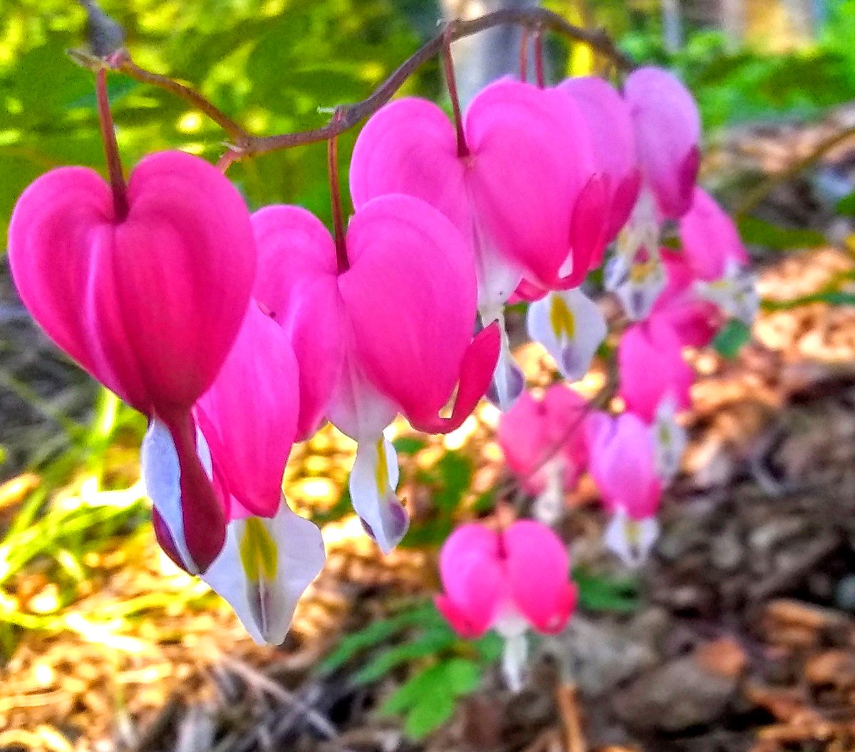 Mrs. Sizzle tweet media