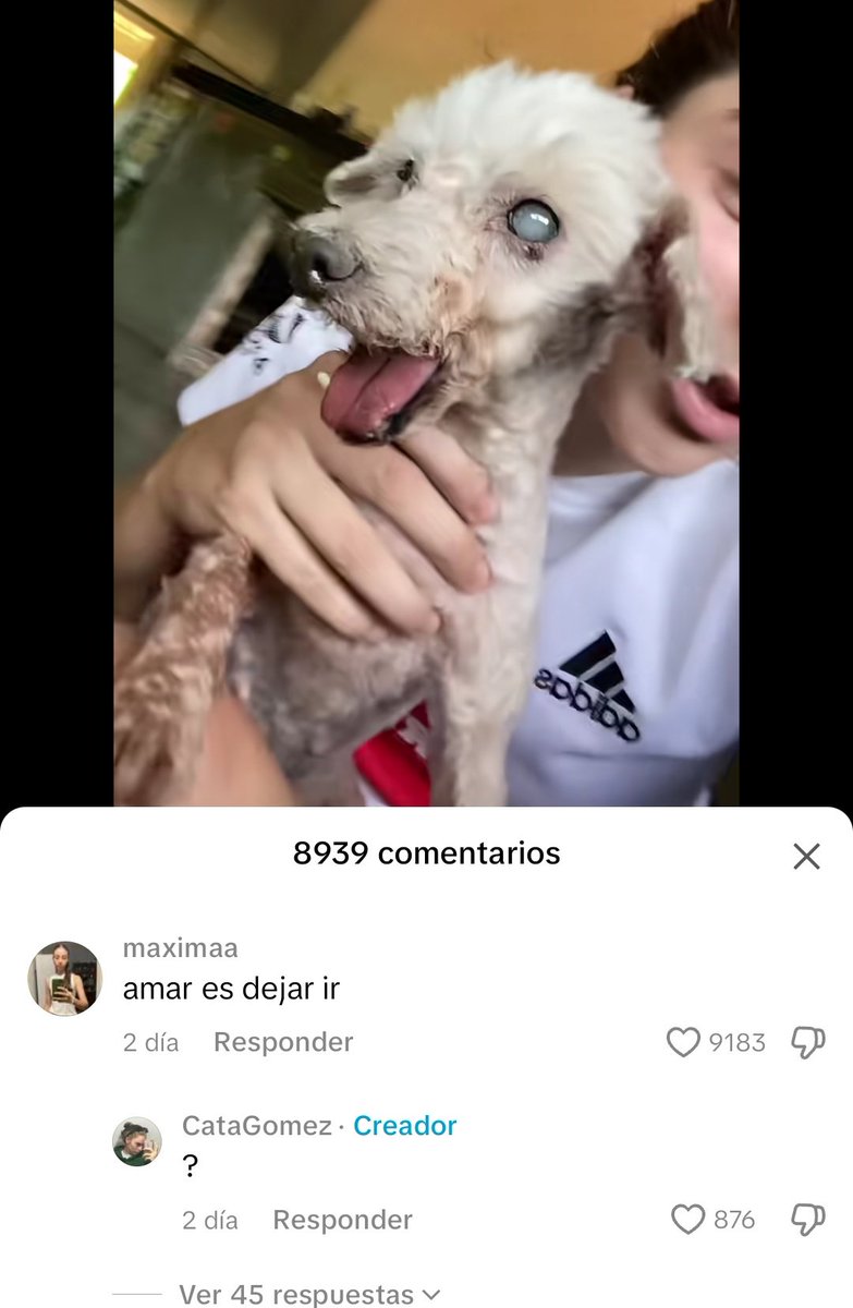 ً (@slayfagxtt) on Twitter photo 