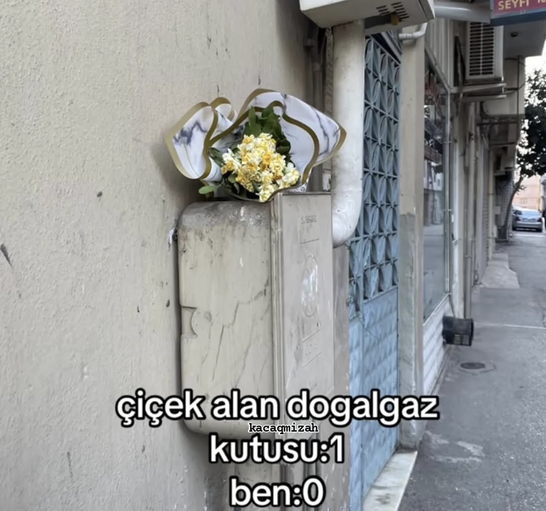 Ömer (@mersaomer) on Twitter photo 