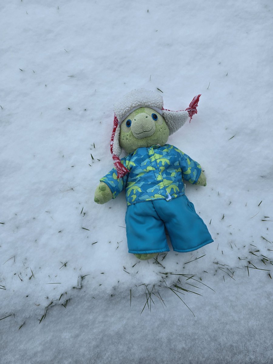 SNOW Day!!! Our first snowfall of the year had "significant snow" about 2.5 inches, which canceled school for 2 days! Time to play!!