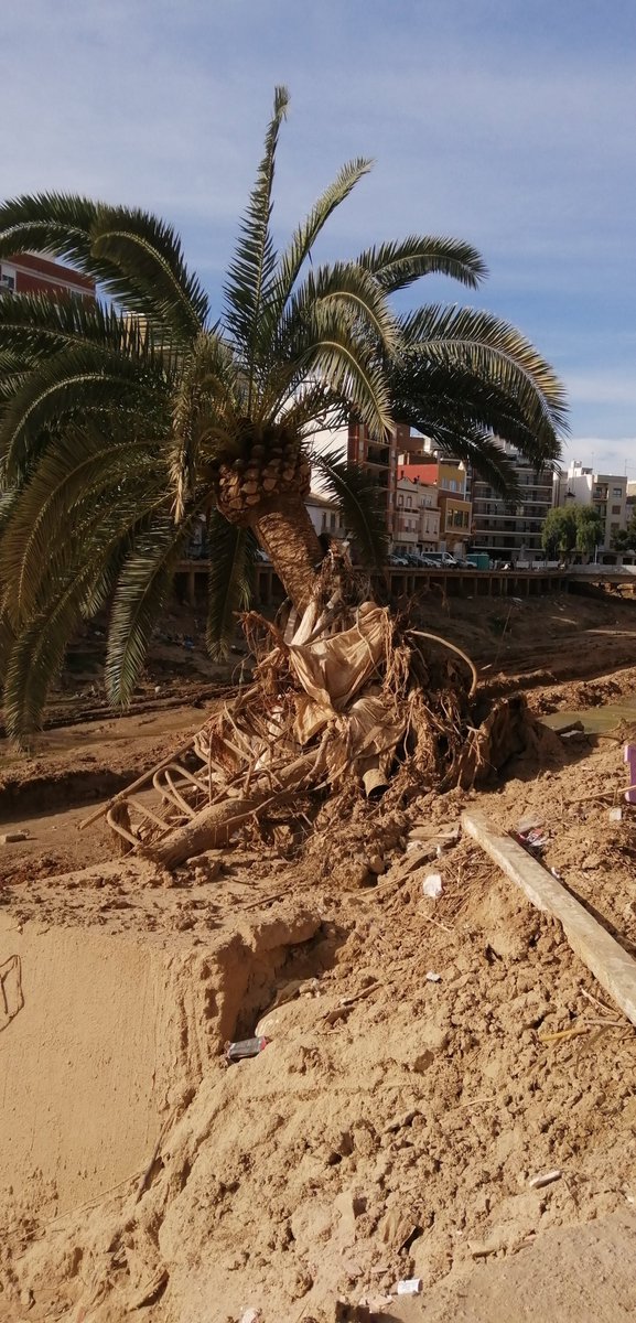 cronicacampdeturia.org/2025/02/el-bar…