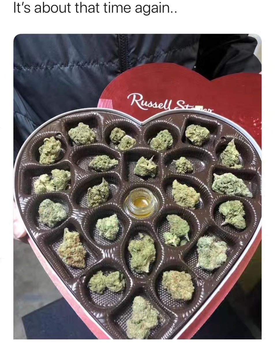 The Autoflower Store (@autoflowerstore) on Twitter photo 