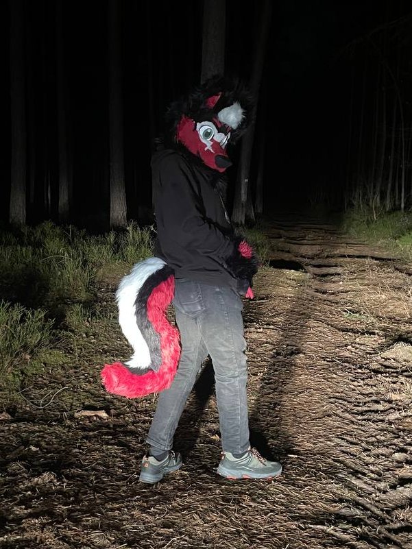 Anyone wanna join me for a nice night walk this #FursuitFriday?

📸<a href="/ArbeyTheBigCat/">Arbey</a>