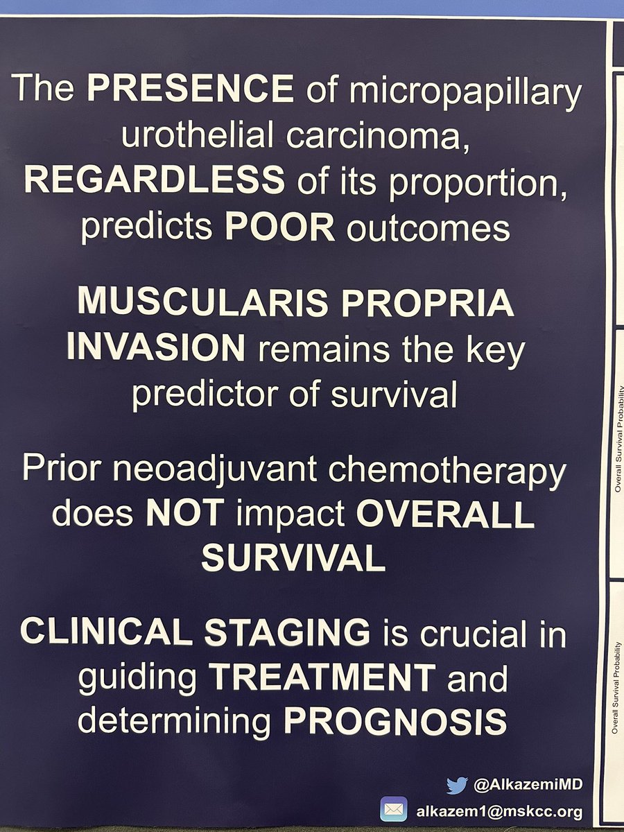 Bárbara Melão, MD, PhD (@bavilima) on Twitter photo <a href="/ASCO/">ASCO</a> #GU25 Poster Session
#BladderCancer <a href="/UrologyMSK/">UrologyMSK</a> <a href="/UroMuneeb/">Muneeb Alam</a> <a href="/eugene_pietzak/">Eugene Pietzak</a>
E6- The impact of micropapillary histology and clinical staging on OS
✨130 pts
✨Presence of micropappillary predicts poor prognosis, regardless of its proportion ‼️
👉The key predictor of <a href="/ASCO/">ASCO</a> #GU25 Poster Session
#BladderCancer <a href="/UrologyMSK/">UrologyMSK</a> <a href="/UroMuneeb/">Muneeb Alam</a> <a href="/eugene_pietzak/">Eugene Pietzak</a>
E6- The impact of micropapillary histology and clinical staging on OS
✨130 pts
✨Presence of micropappillary predicts poor prognosis, regardless of its proportion ‼️
👉The key predictor of