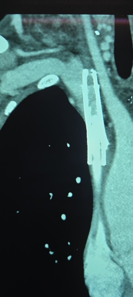 Russell Reeves tweet media