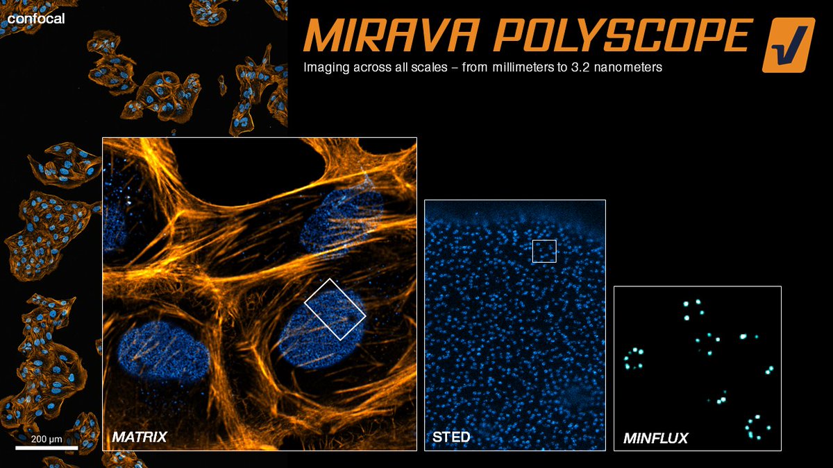 Northwestern Autism & Neurodevelopment tweet media