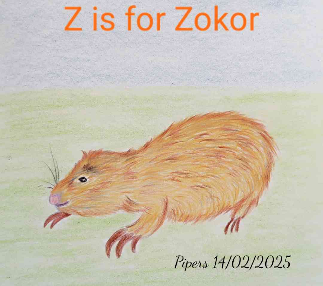 dr.pipers (@pipersdr) on Twitter photo A little late, but I didn't want to miss the last letter. So here is my Zokor for <a href="/AnimalAlphabets/">Animal Alphabets</a>
#animalalphabets #artchallenge #illustration #pencildrawing #zokor #animals #art A little late, but I didn't want to miss the last letter. So here is my Zokor for <a href="/AnimalAlphabets/">Animal Alphabets</a>
#animalalphabets #artchallenge #illustration #pencildrawing #zokor #animals #art