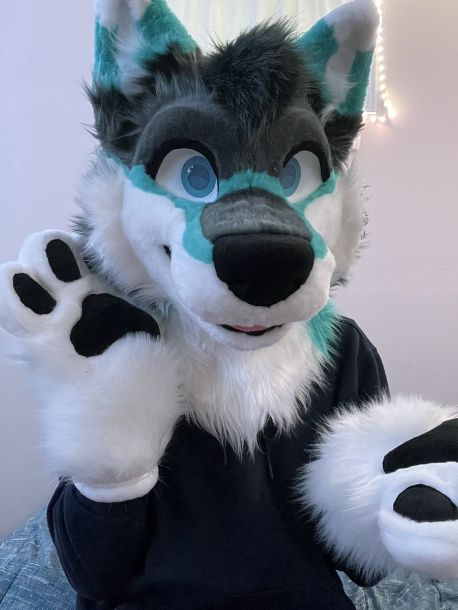 Benji 🔜 FE tweet media