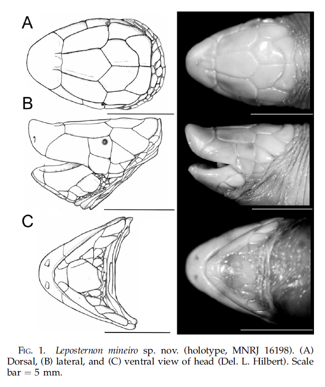 Henrique Costa tweet media