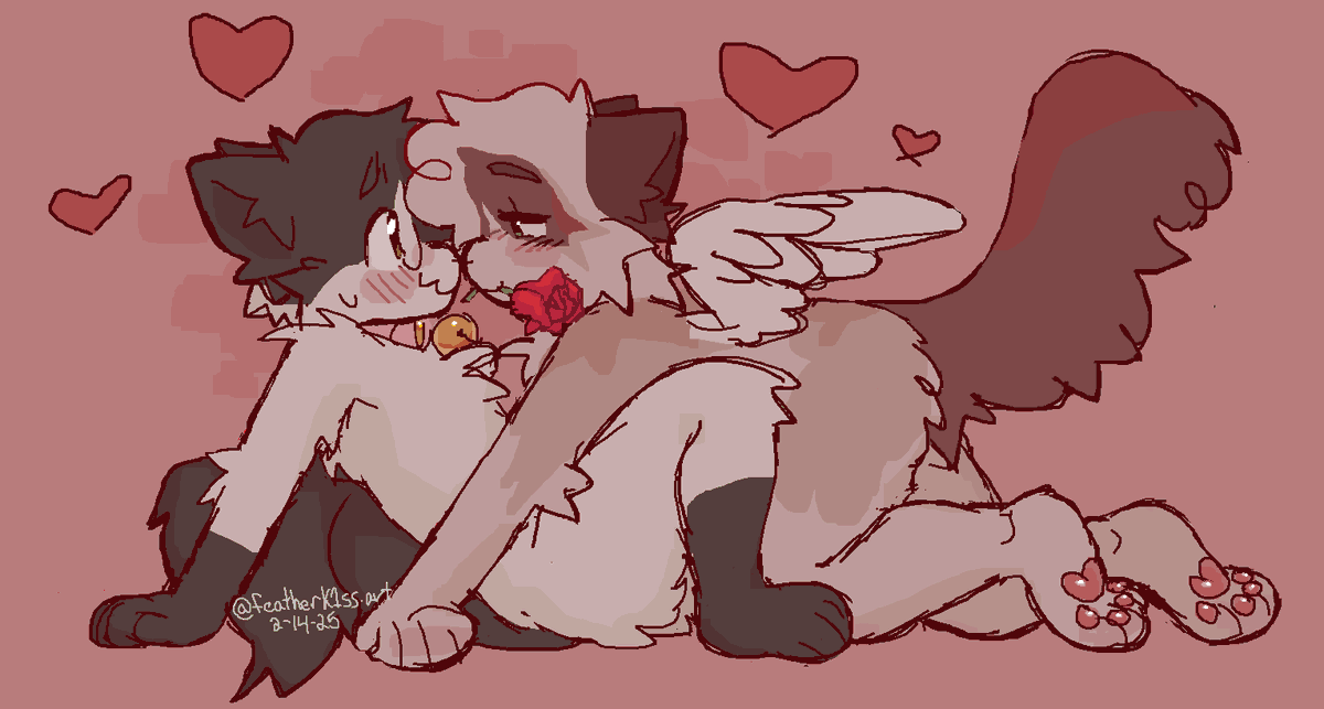 💘 for my valentine