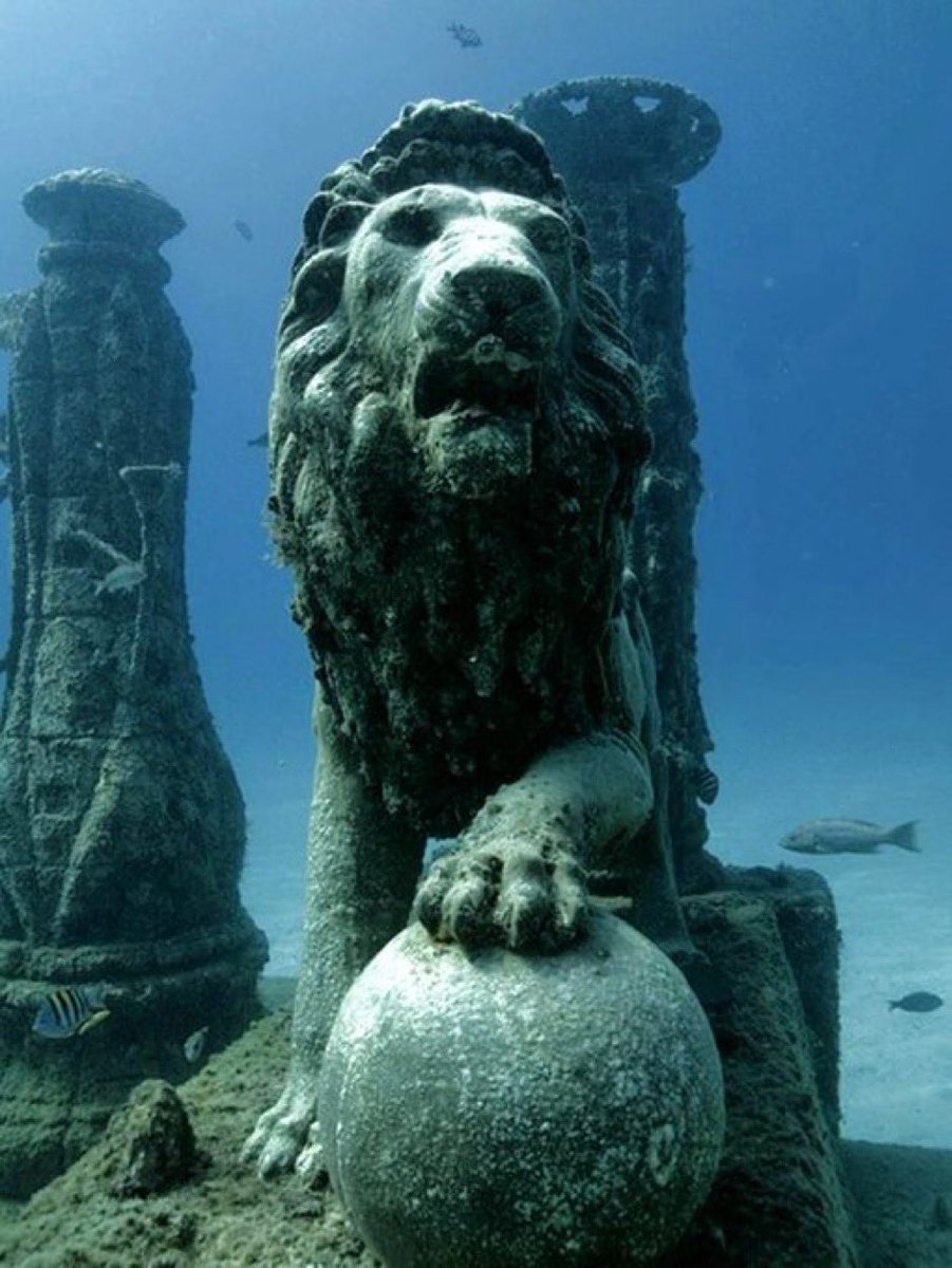 historigins's tweet image. 14. The lion statue of the Neptune Memorial Reef, originally conceived by Gary Levine and designed by artist Kim Brandell.

It is a type of burial at sea, located at 3.25 miles off the coast of Key Biscayne, Florida, estimated to be able to accommodate 850 remains.