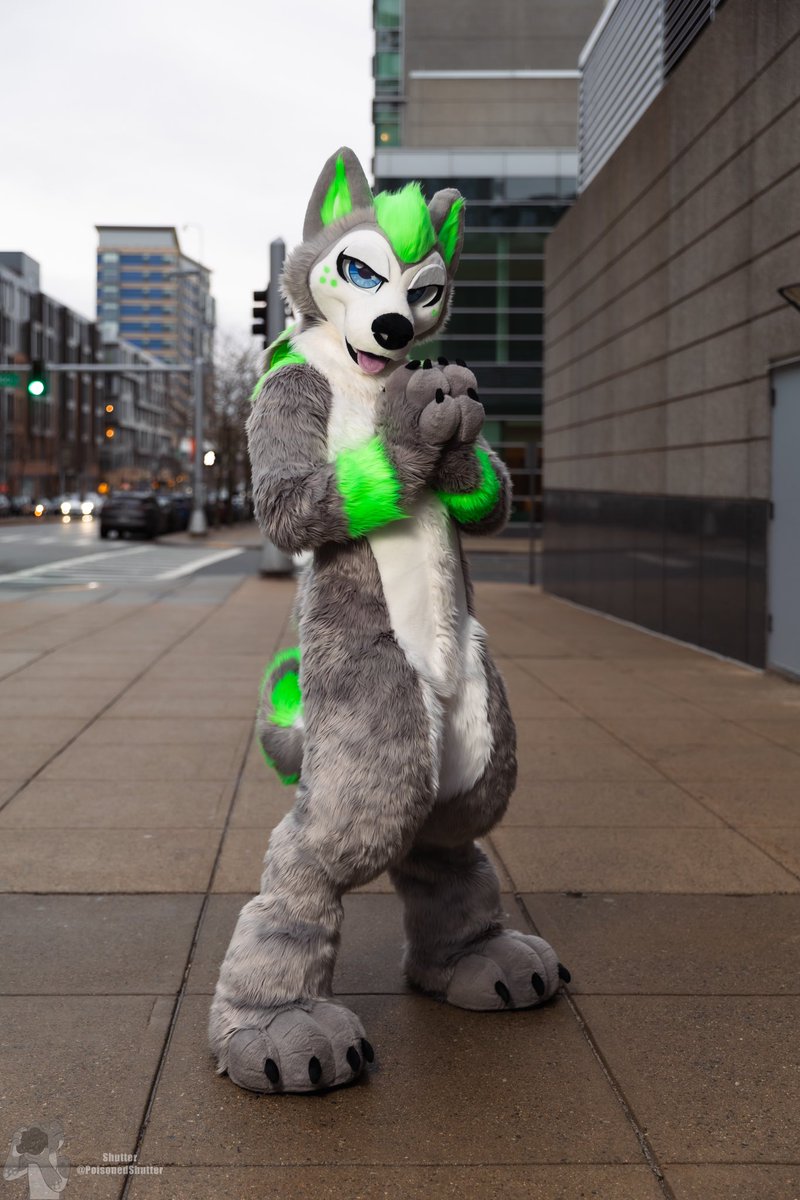 What’s he thinkin about? 😈
#FursuitFriday 

📸: <a href="/PoisonedShutter/">Shutter</a>