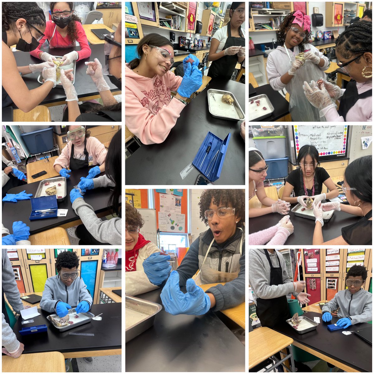 Candice Bidner tweet media