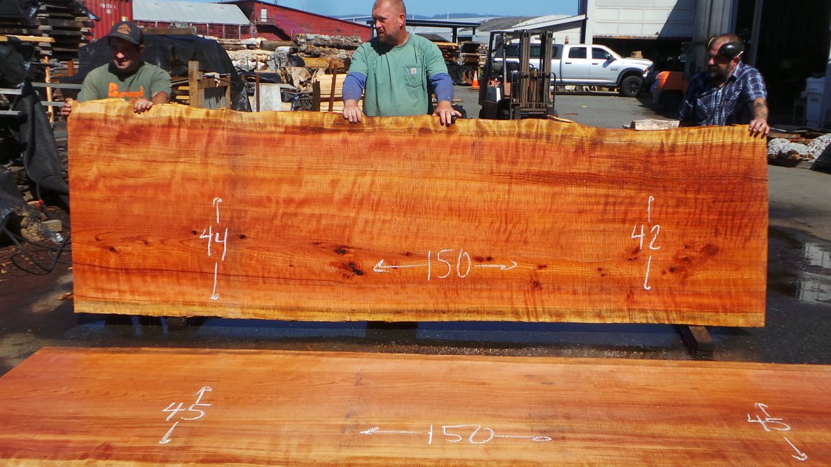 Here are some great slabs for making a Redwood Dining Table. These are all available on our site or give Vic a call at 707-826-9663.

redwoodburl.com/project/confer…