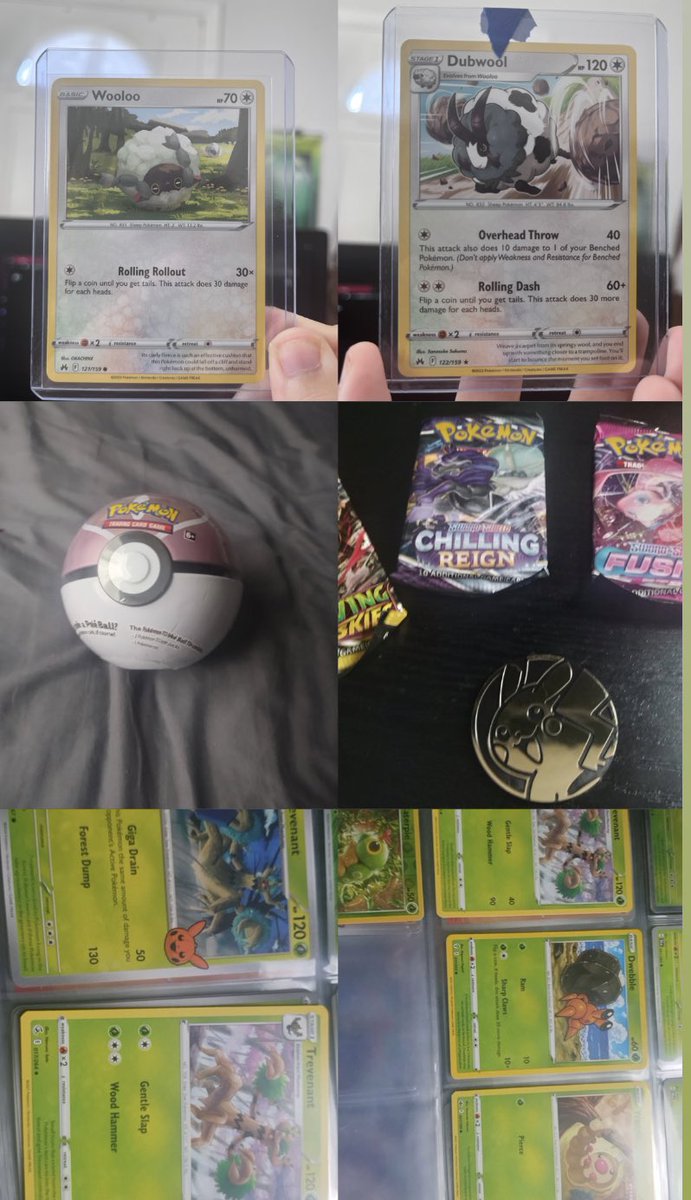 Two Pokémon nerds on Valentine’s Day.