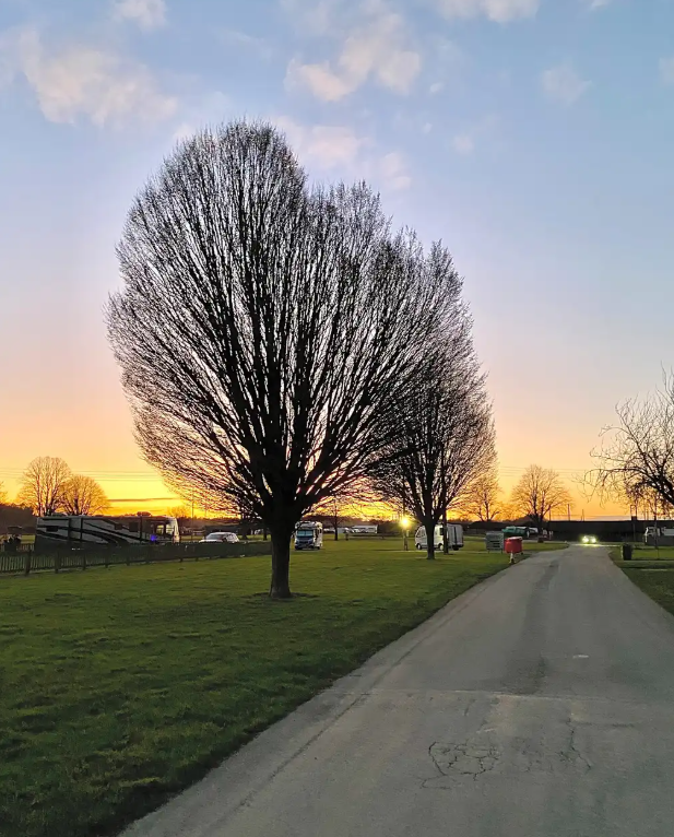 West Mid Showground tweet media