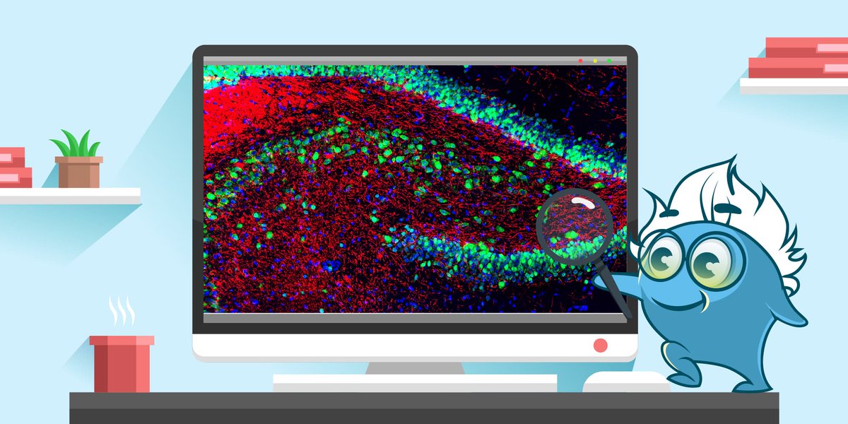Struggling to find the right IF antibody in compatible hosts? Choose from seven species and three purchasing plans at the Boster Multi-Host custom polyclonal antibody program! Learn more: zurl.co/cUtNH