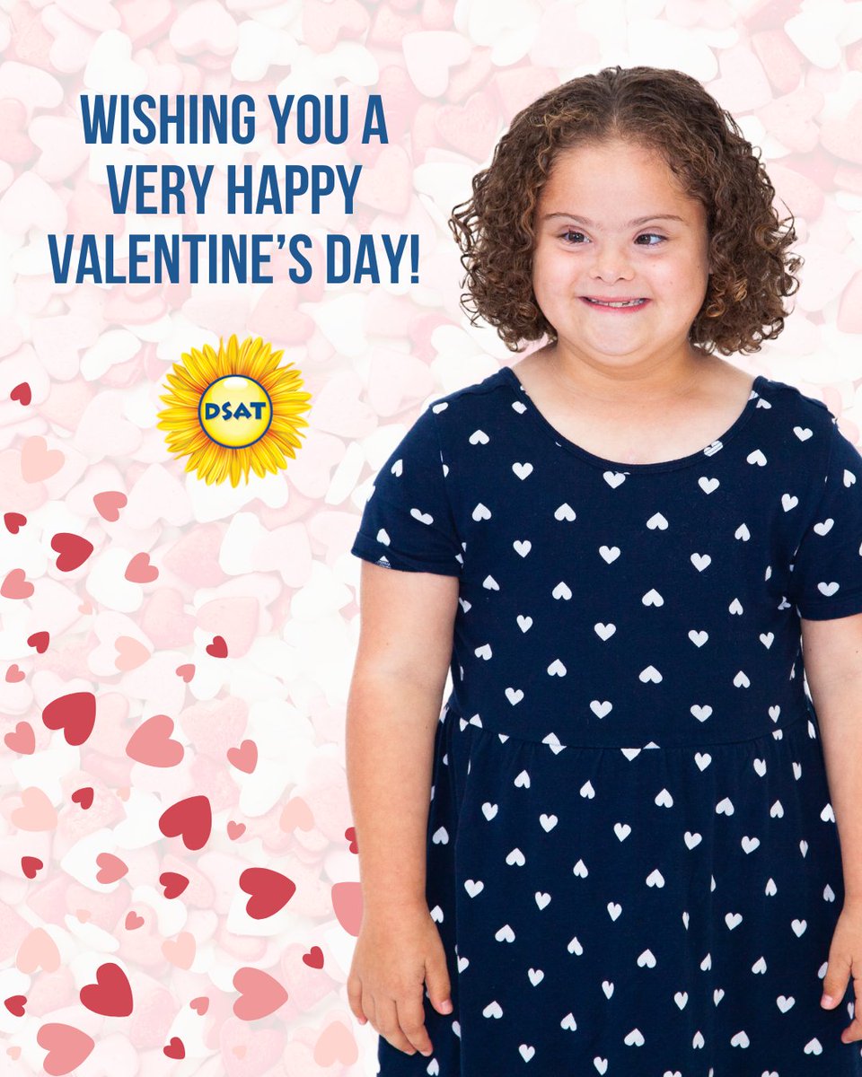 DSA Toronto tweet media