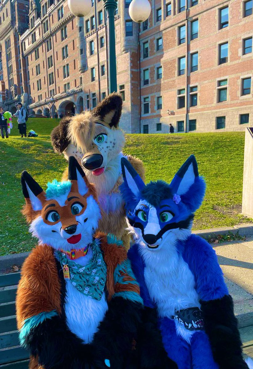 Words cannot describe how much i love them 🩵💛💙 They rock my world like noone else and i wouldn’t replace them for anyone else 🥹 

In order : 
🩵 <a href="/Blep_Fox/">Blep 🇨🇦🏳️‍🌈🦊</a> 
💛 <a href="/The_cute_collie/">Bax</a> 
💙 <a href="/Littlefox95/">Stace Fox 🦊</a> 

Love you both 💙🩵💛💙🩵💛💙🩵💛

#FursuitFriday