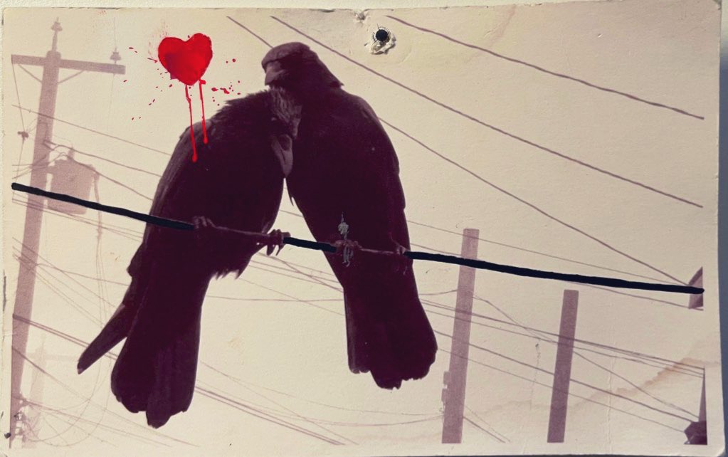 Fucking love-  careful it’ll kill ya