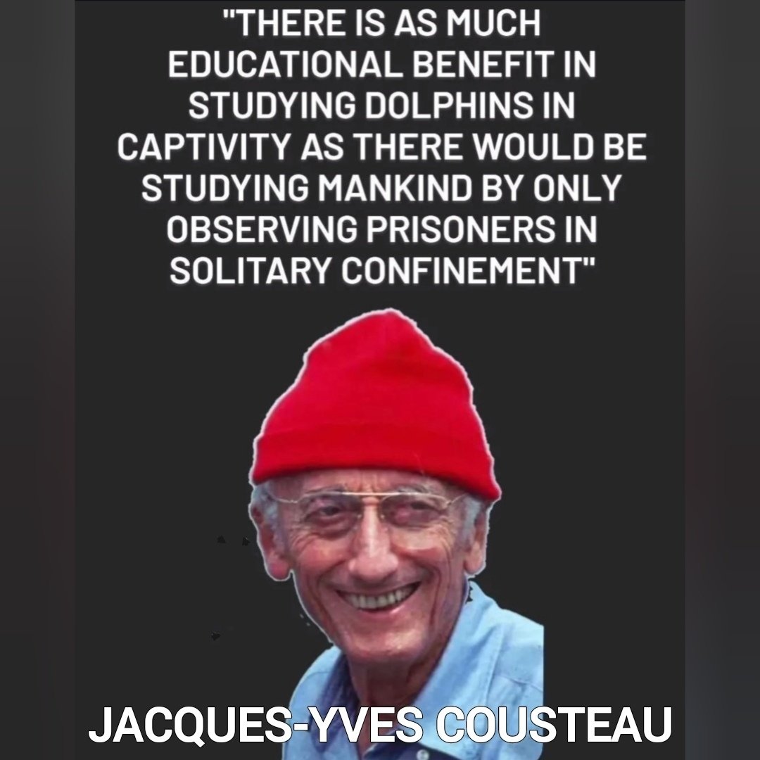 Jacques Yves Cousteau