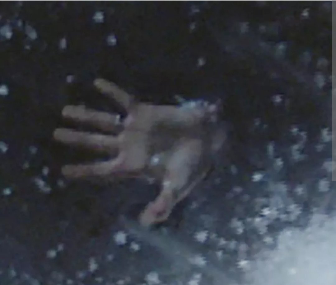 💗Tani💗 tweet media