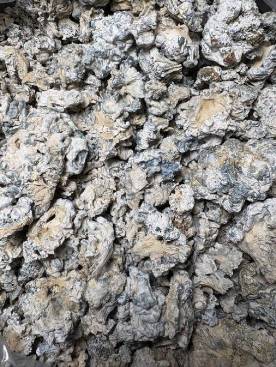 highmaxexotics's tweet image. Who Need Shrooms?
EXOTIC SHROOMS
JOIN TELE IN BIO FOR FLAVORS/ MENU💨⚖️
#atlweed #atlplug #atl #atlanta #pluginatl #atlgas #atlza #atlweedman #AtlantaExotic #atlantaplug #carts #za #southside #Shrooms #collegepark #eastpoint #clayco #riverdale #Gsu #Ksu #spellman #Cau #buckhead